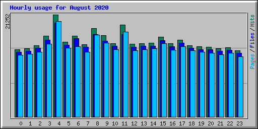 Hourly usage for August 2020